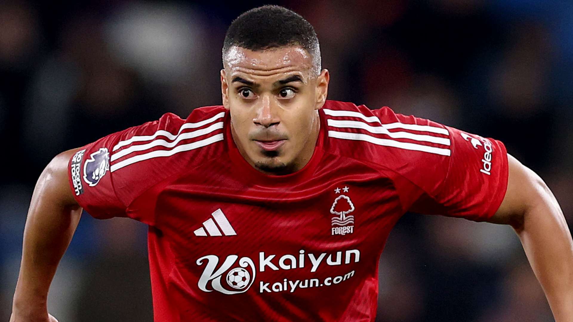 视与培育 视与培育